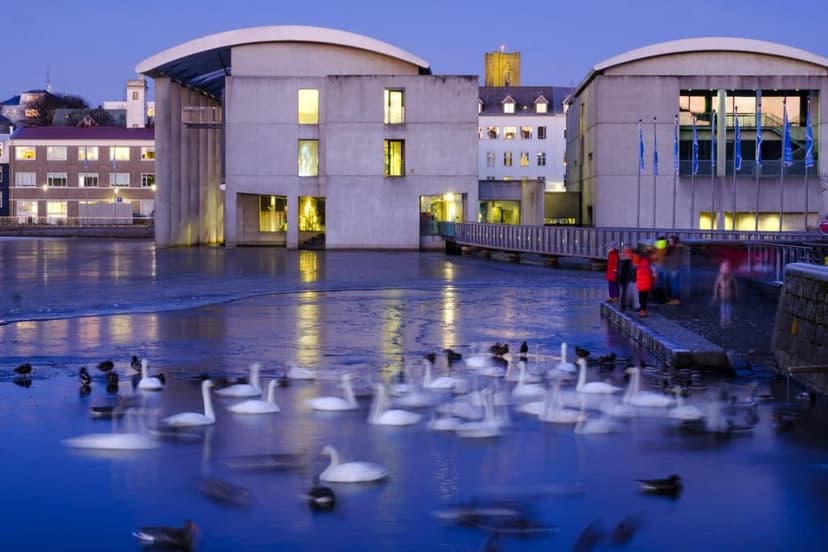 Icelandic Government Outlines New Homelessness Housing Plan