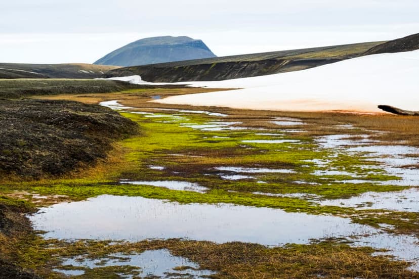Magnitude 3.7 Earthquake Recorded Near Torfajökull, Iceland