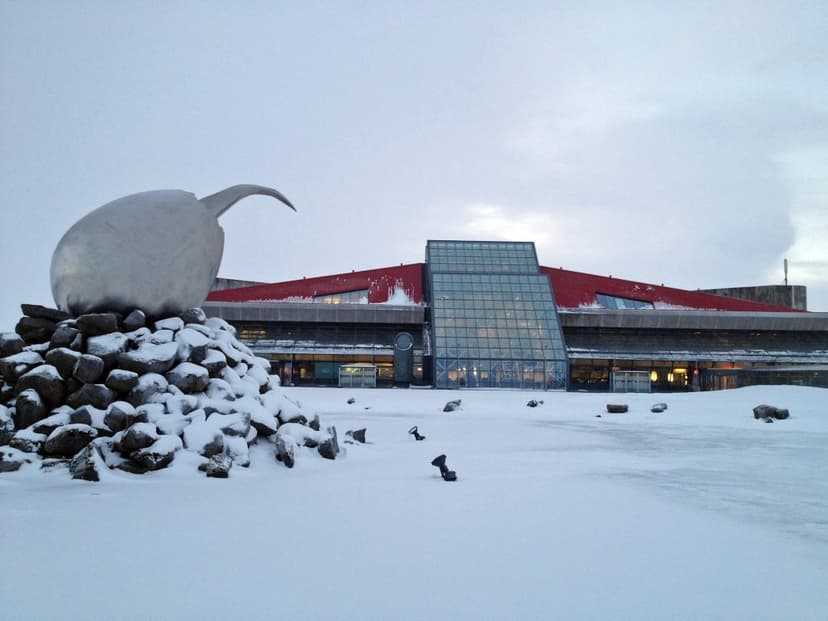 Strong Winds Disrupt Flights at Keflavík Airport, Iceland