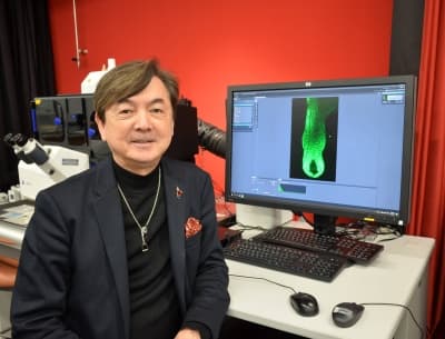 Japan-led Cell Discovery Offers Hope for Hair Loss Treatments