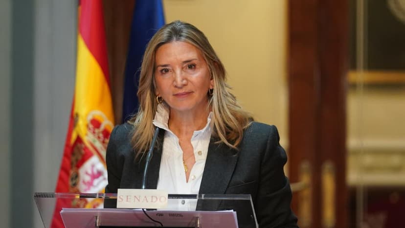 Spanish Senate Summons Pardo de Vera for Koldo Case Investigation