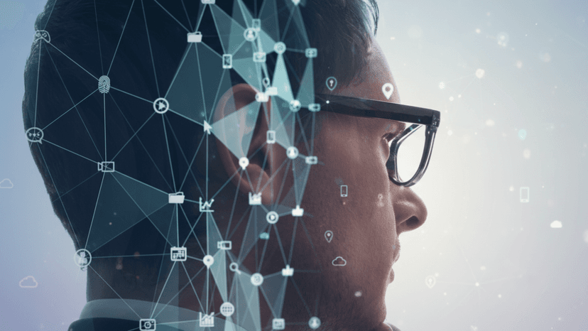 The Human Brain and Intellective Knowledge