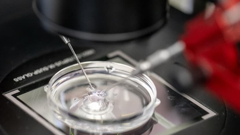 France Encourages Young Adults to Freeze Eggs and Sperm