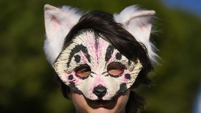 I Am Not Josep, I Am a Chihuahua