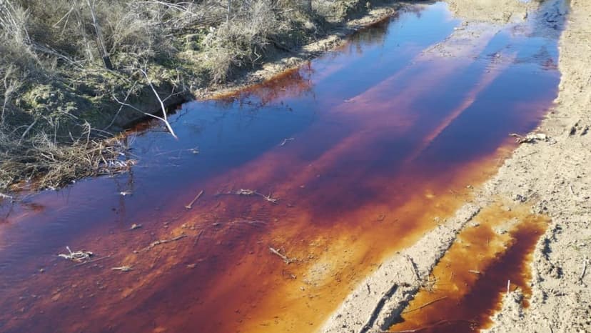 Environmentalists Denounce Spills from Valdemingómez into Manzanares River