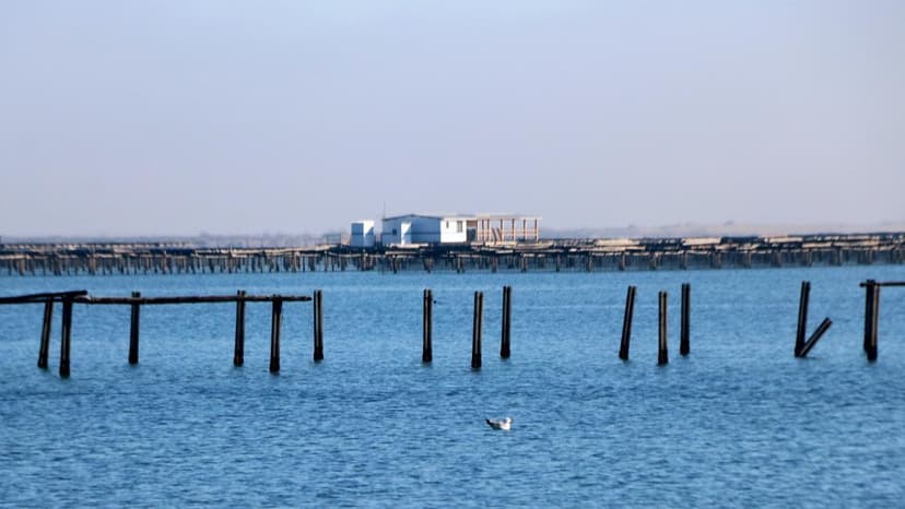 Ebro Delta Suffers 2.5 Million Euros in Storm Damage