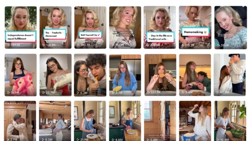 
                                                ‘Tradwives’ y el relato manipulado de los cuidados
                                            