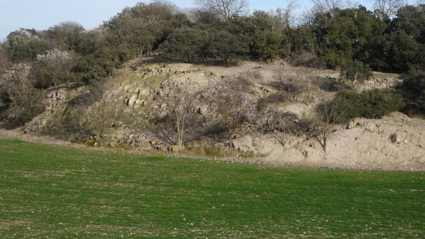 
                                                                                                                                               ¿Cuántos conejos puedes ver en menos de 30 segundos?
                                                                                                                                           