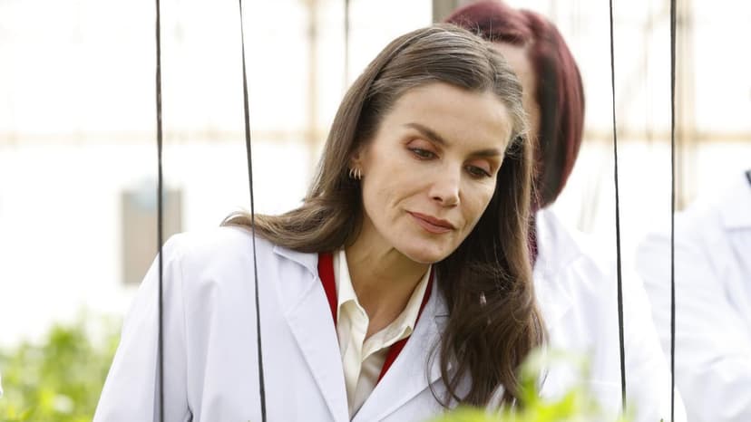 
                                                                                                                                  Letizia, con bata blanca, conoce la cara y cruz de los invernaderos de Almería
                                                                                                                              