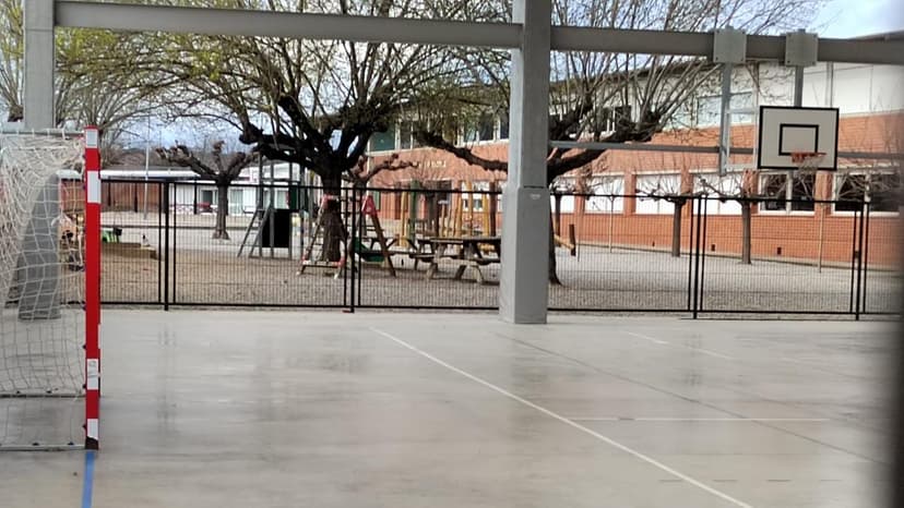 Discharged the child who remained hospitalized after the failed experiment in a school in Porqueres