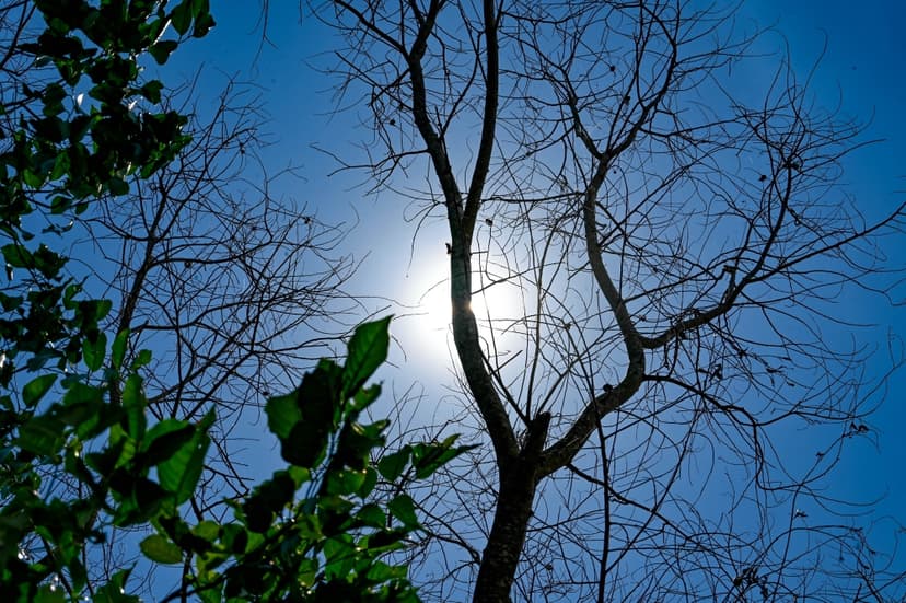 Malaysia Issues Hot Weather Warning for Perlis and Kedah