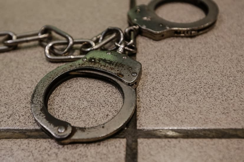 Man jailed 22 months after failing to pay RM60,000 fine for kicking kitten to death