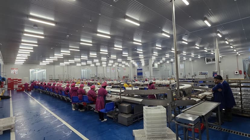 Tunamax and Gaictech to Launch Morocco’s Largest High-Tech Tuna Canning Plant