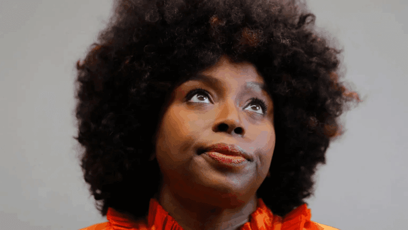 Investigation begins into death of Chimamanda Adichie’s son