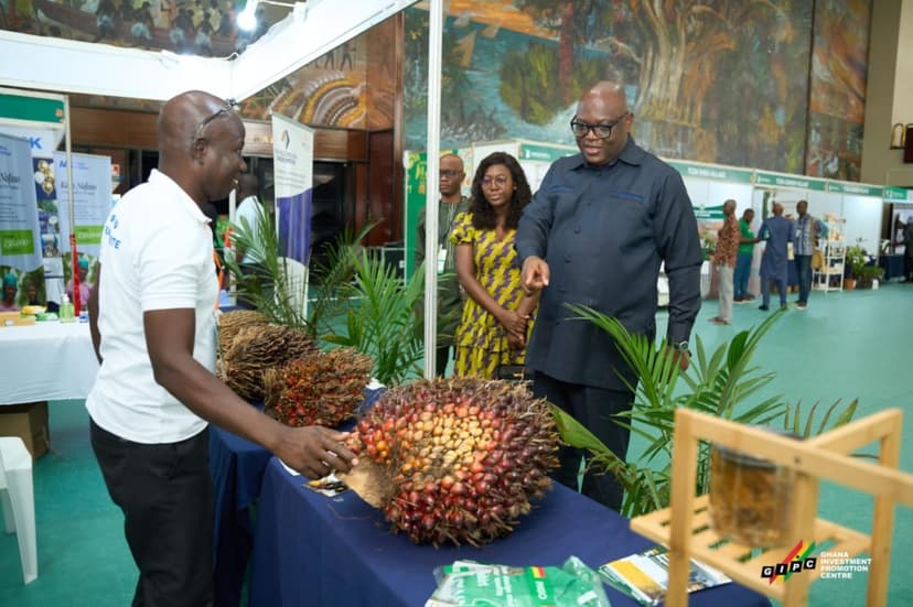 GIPC CEO rallies investors to back oil palm expansion at Birim oil mills