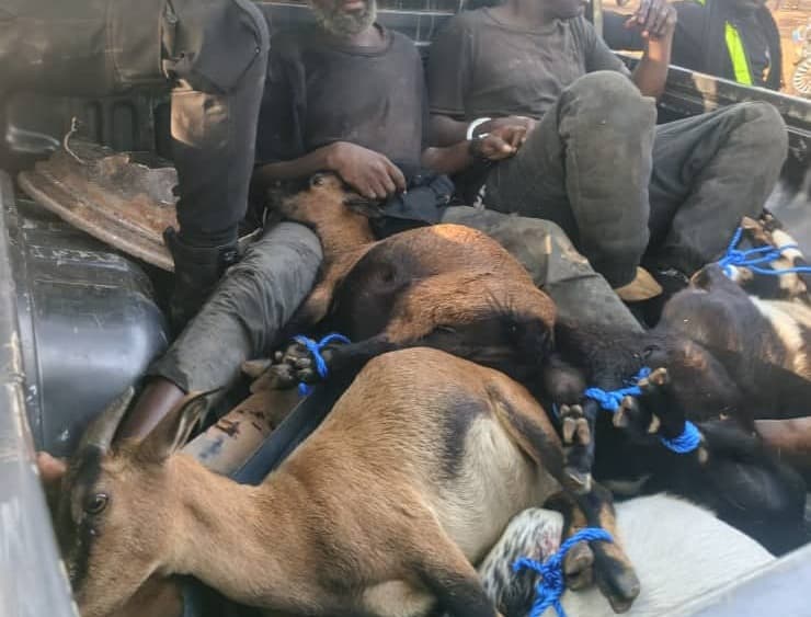 Ghanaian Police Officer Shot While Pursuing Goat Robbery Syndicate