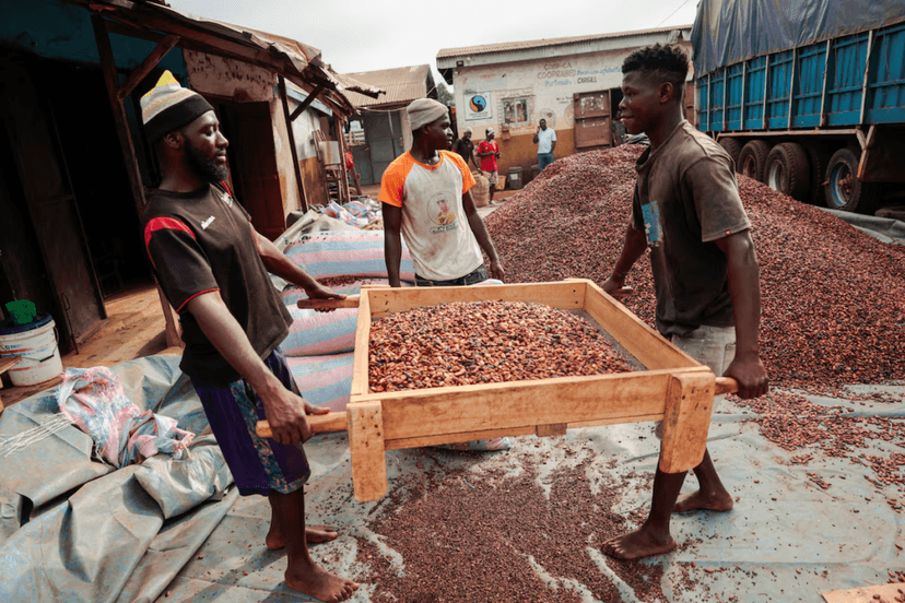 Ivory Coast Considers Cocoa Marketing System Reforms Amid Excess Supply