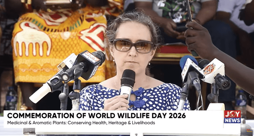 Ghana Urged to Invest in Forests for Future Protection