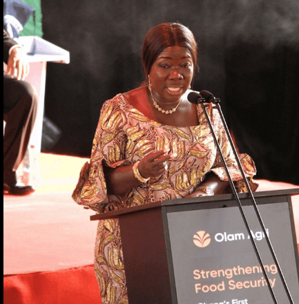 Olam Agri Plant to Boost Ghana’s Agro-processing