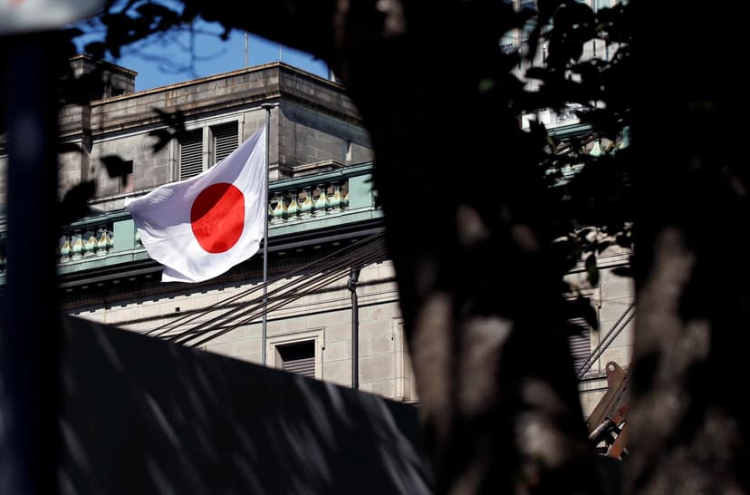 Japanese Citizen Detained in Iran Since January, Tokyo Demands Release