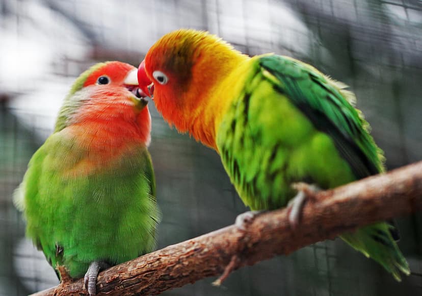 Naked Capitalism Publishes Daily Links for March 3, 2026