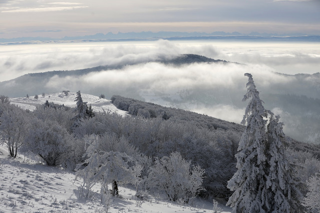 Two Women Die in French Alps Avalanche, Raising Victim Count to 30
