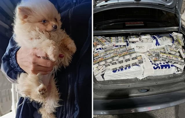 Greek Authorities Seize Gold Bars, Drugs, and Undeclared Cash in Anti-Smuggling Operations