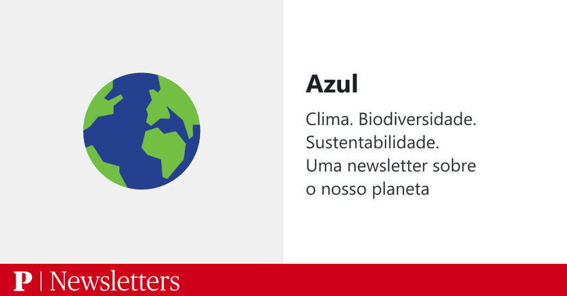 Opinion: Call for Accountability