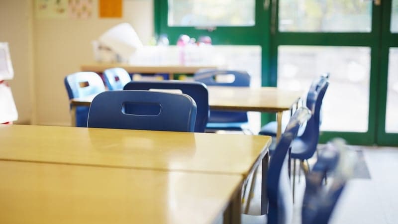 Irish Education Body Apologizes for Upset Over SNA Review