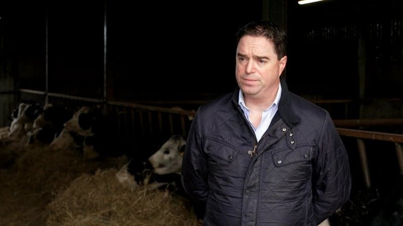 IFA Accused of 'Reckless' Stance in Bord Bia Dispute