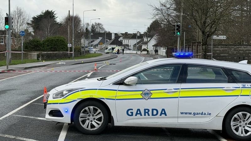 Teenage girl killed in Navan crash named locally