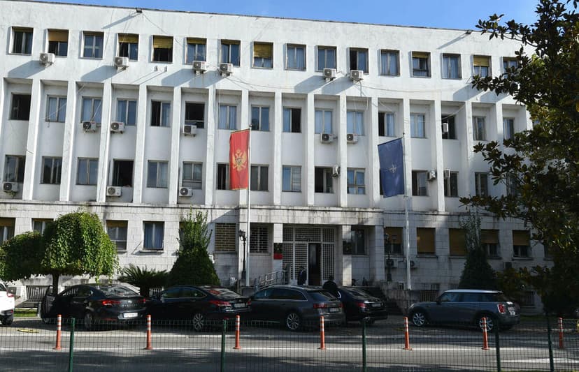 Montenegro's MVP assists 93 citizens returning from Middle East