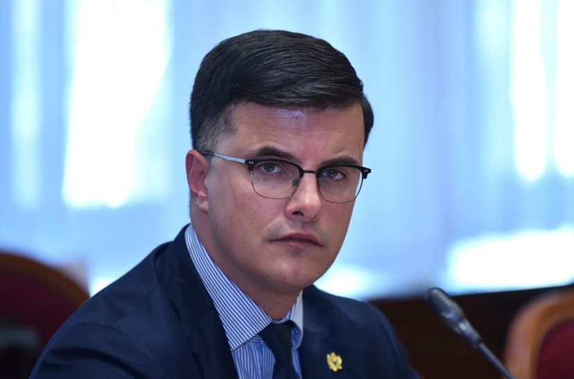 Montenegrin Interior Minister Confirms EU Delegation Agreement on Draft Laws