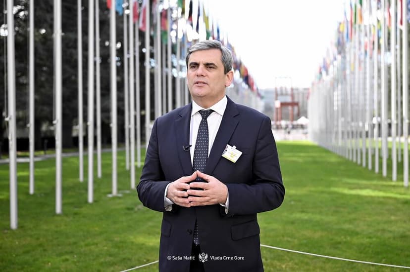 Ibrahimović: UN Charter Principles Cannot Be Applied Universally