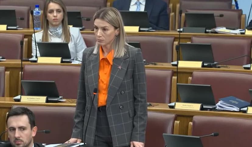 Bosniak Party Defends Strujić Harbić's Statement Amid Criticism