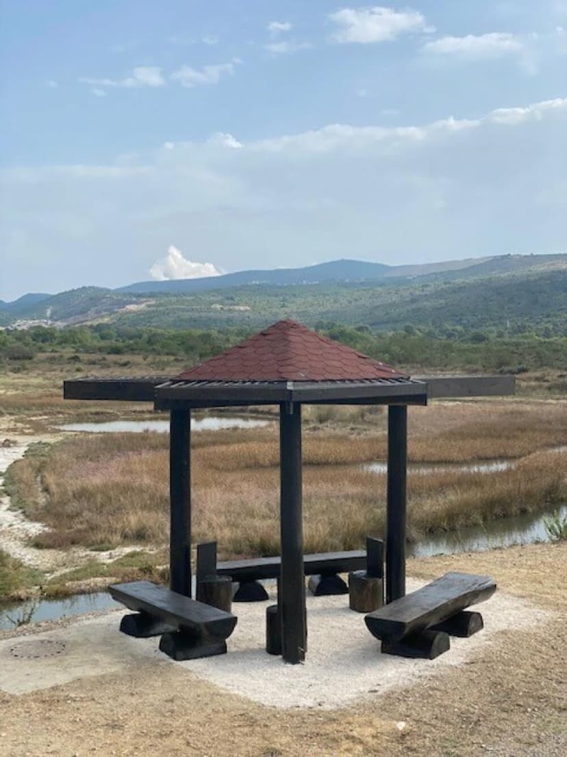 Montenegro's JP Morsko dobro to Invest 1.5 Million Euros in Tivat