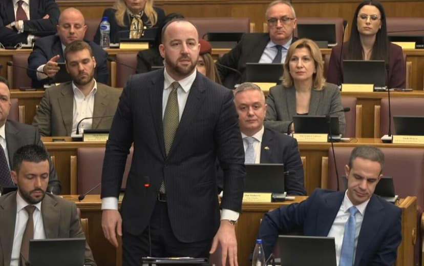 Nikolić: To što smo civilizovani i pristojni ne znači da nismo...