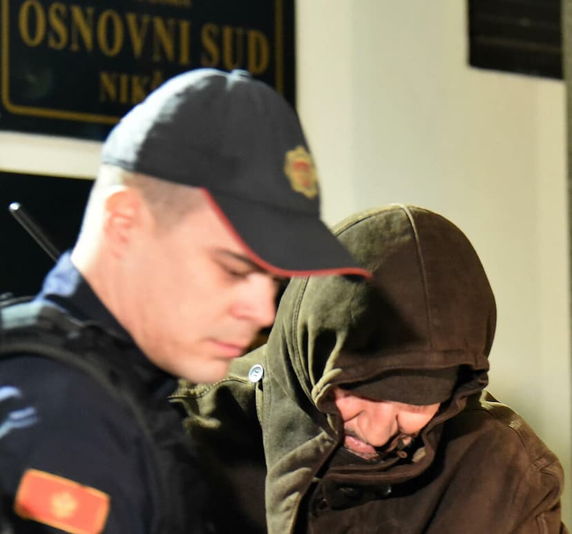 Montenegro Awaits Decision on Detention and Document Review for Former President's Brother