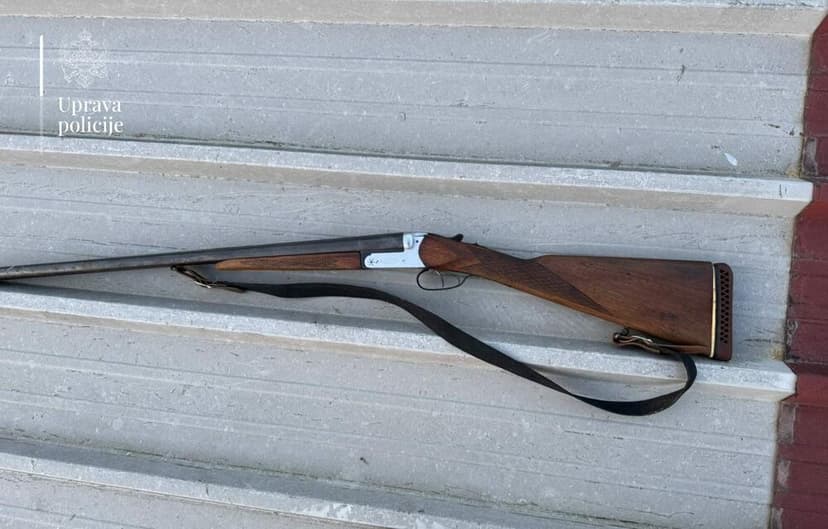 Two Dogs Killed Near Poultry Farm in Donji Kokoti, Owner Suspected