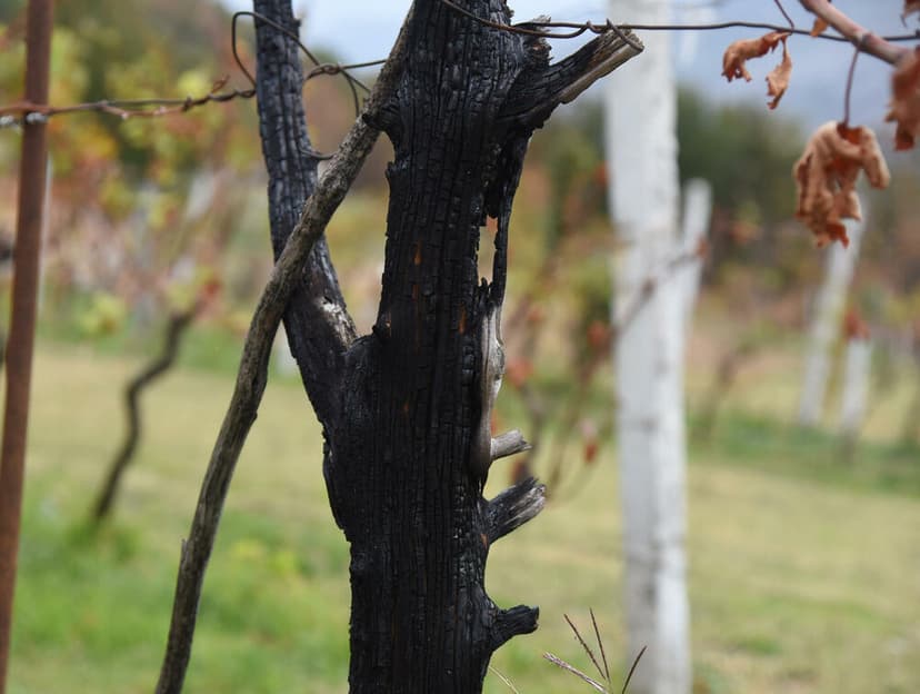 Montenegrin Citizens Await Symbolic Aid Seven Months After Major Disasters