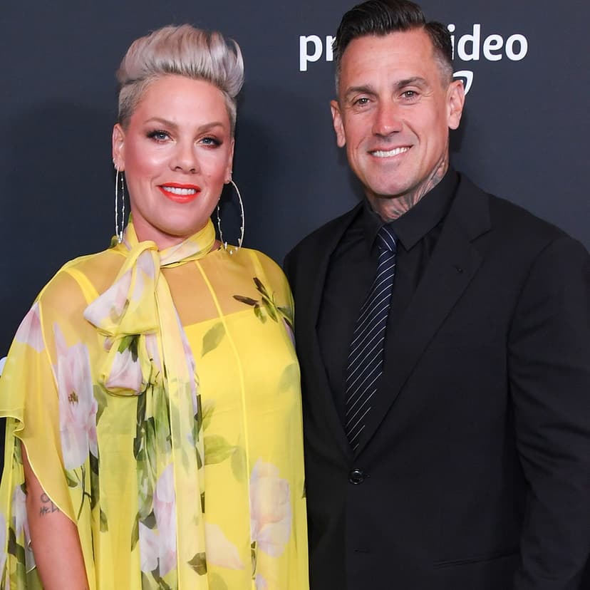 Inside Pink and Carey Hart's Wild Love Story Before Breakup