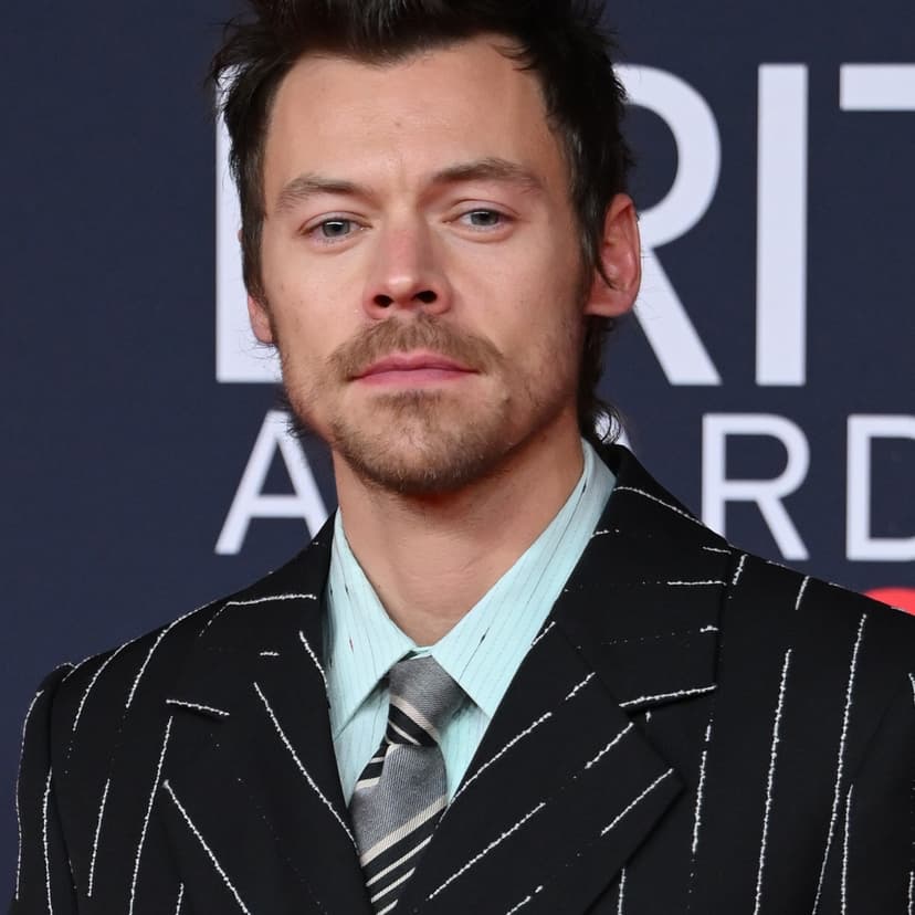 Harry Styles Makes First Red Carpet Appearance in 3 Years