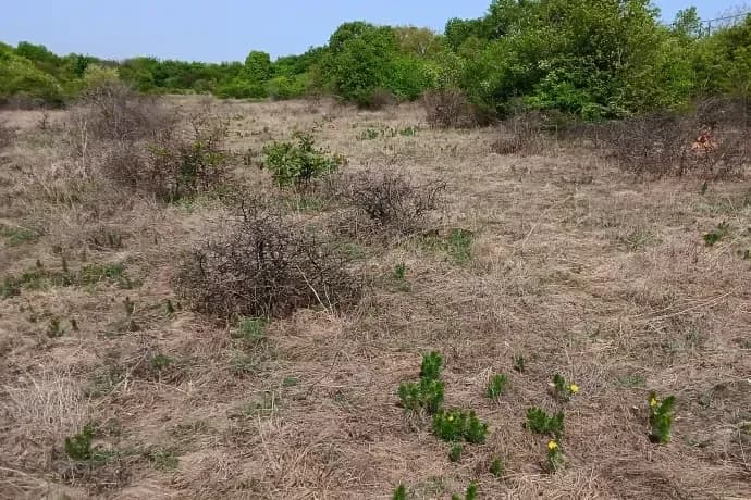 Budaörs Protests Government Plan to Develop Protected Area