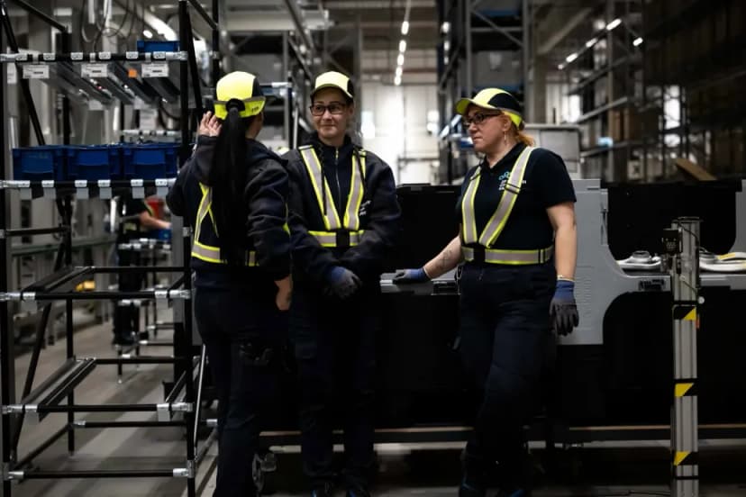 Divergent Employment Trends for Young and Older Workers in Hungary