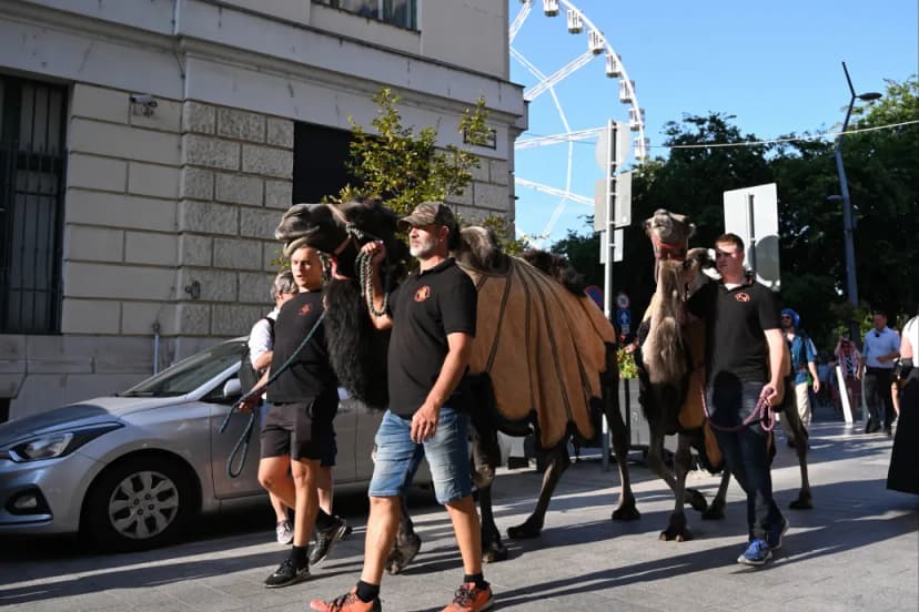 Hungary's Energy Minister Proposes Delaying Climate Neutrality to 2070