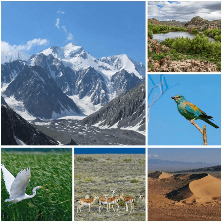 Kazakhstan Approves National Biodiversity Conservation Strategy