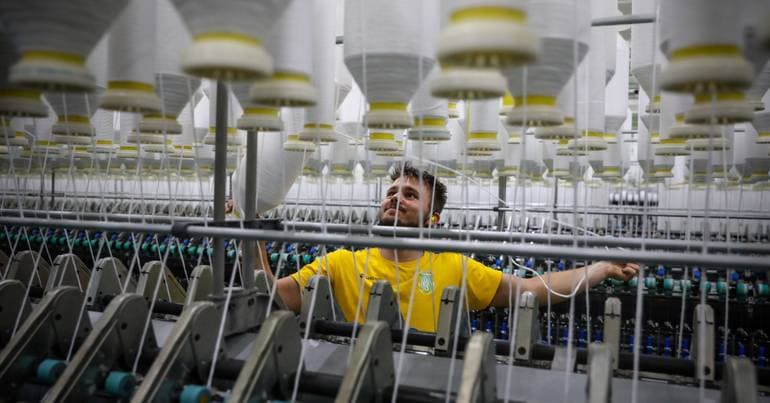 Riopele's Profit Falls by 10% to €4.5 Million