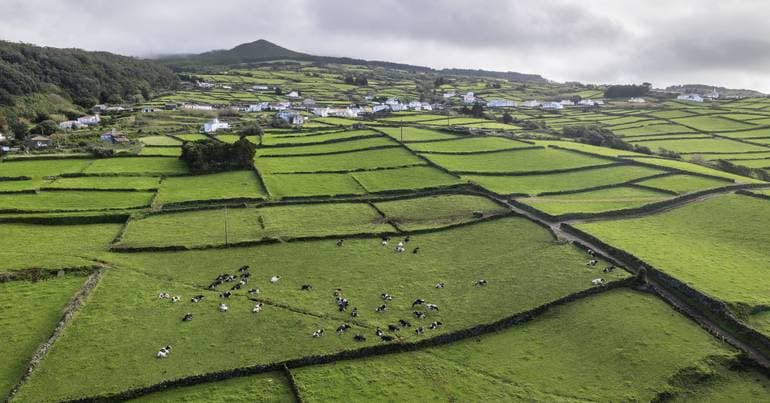 Sismo de magnitude 3,6 na escala de Richter na Terceira