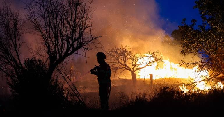 Albergaria-a-Velha Launches Fire Prevention Project After 2024 Incidents