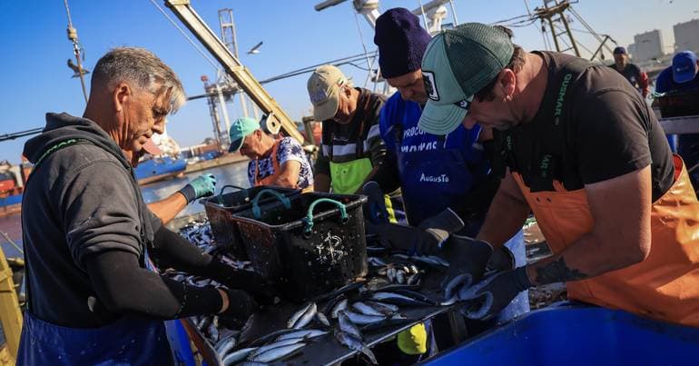 Azores distributes 237,000 euros in aid to 564 fishermen